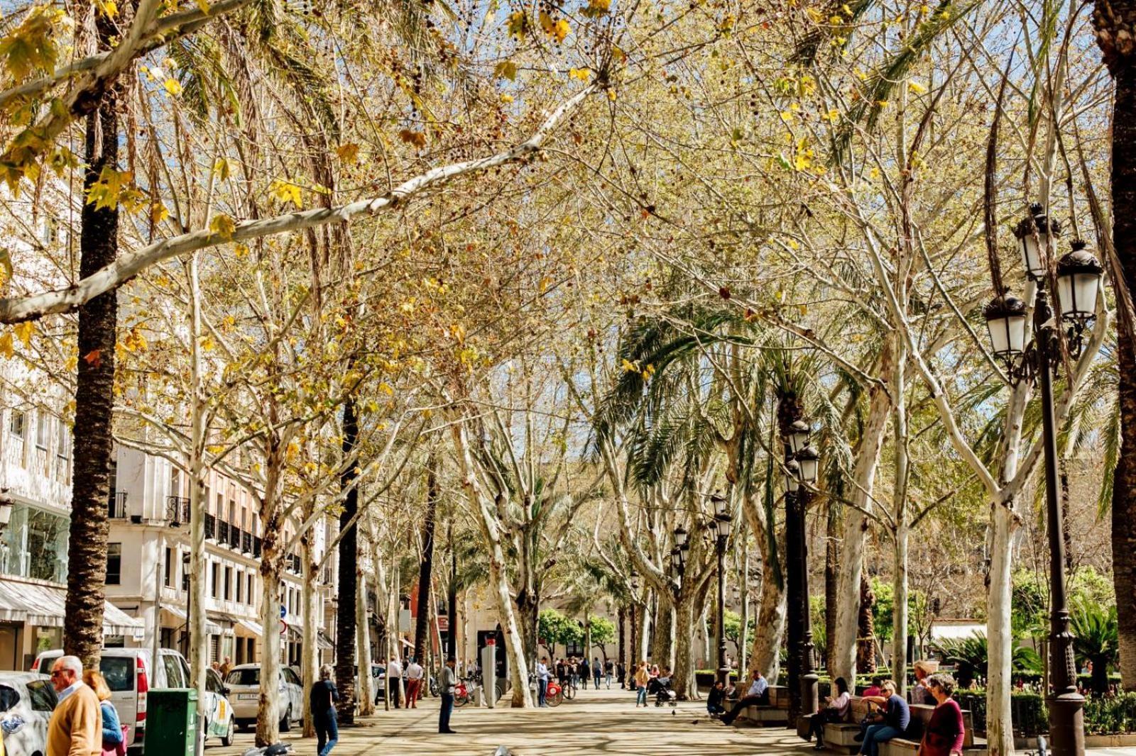 Plaza De La Magdalena I, Sevilla Centro Historico Exterior photo